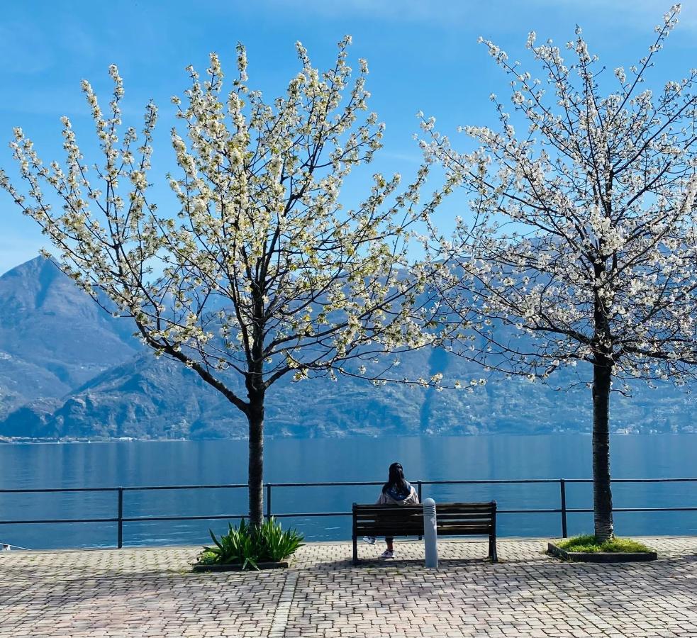 Brother'S Como Lake Suite Acquaseria Bagian luar foto